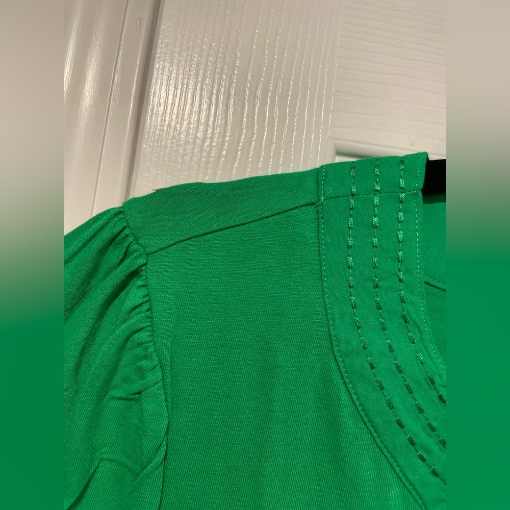 NWT Rafaella Size M Kelly Green V Neck Short Sleeve Tee Shirt Embroidered Trim - Picture 7 of 11